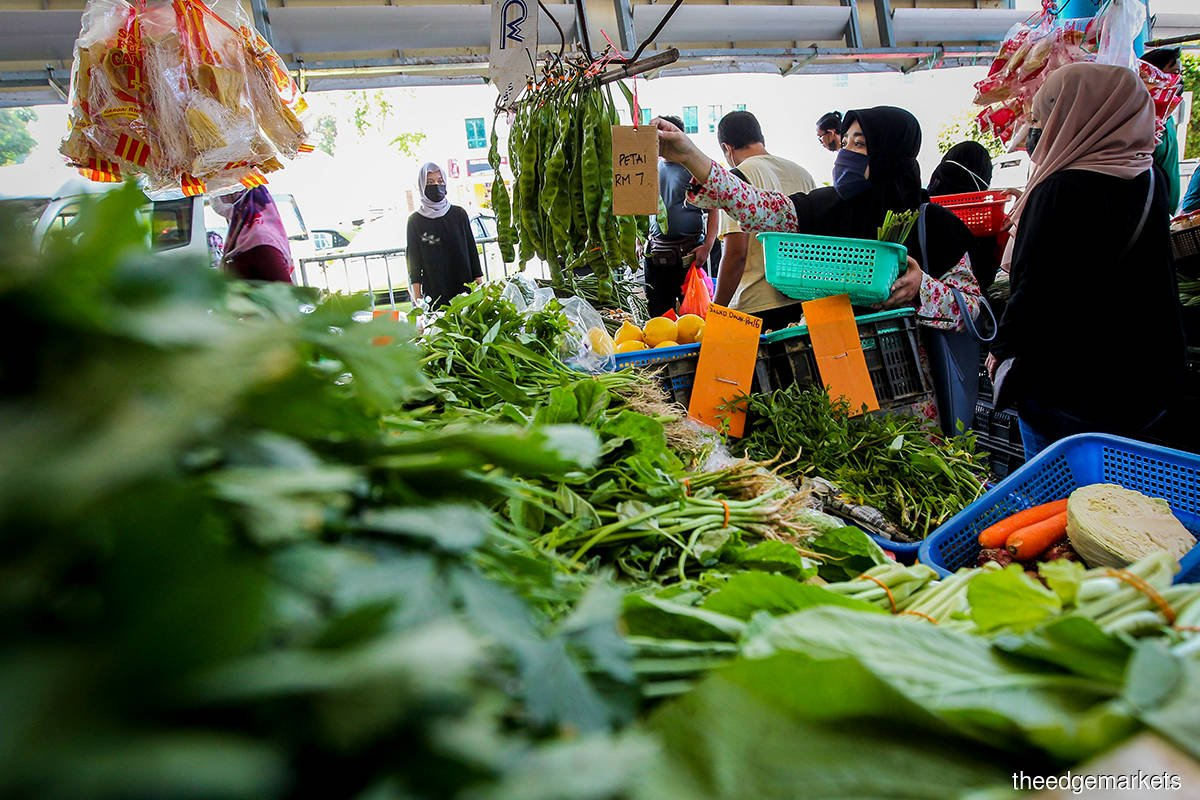 image-20220606111959-1