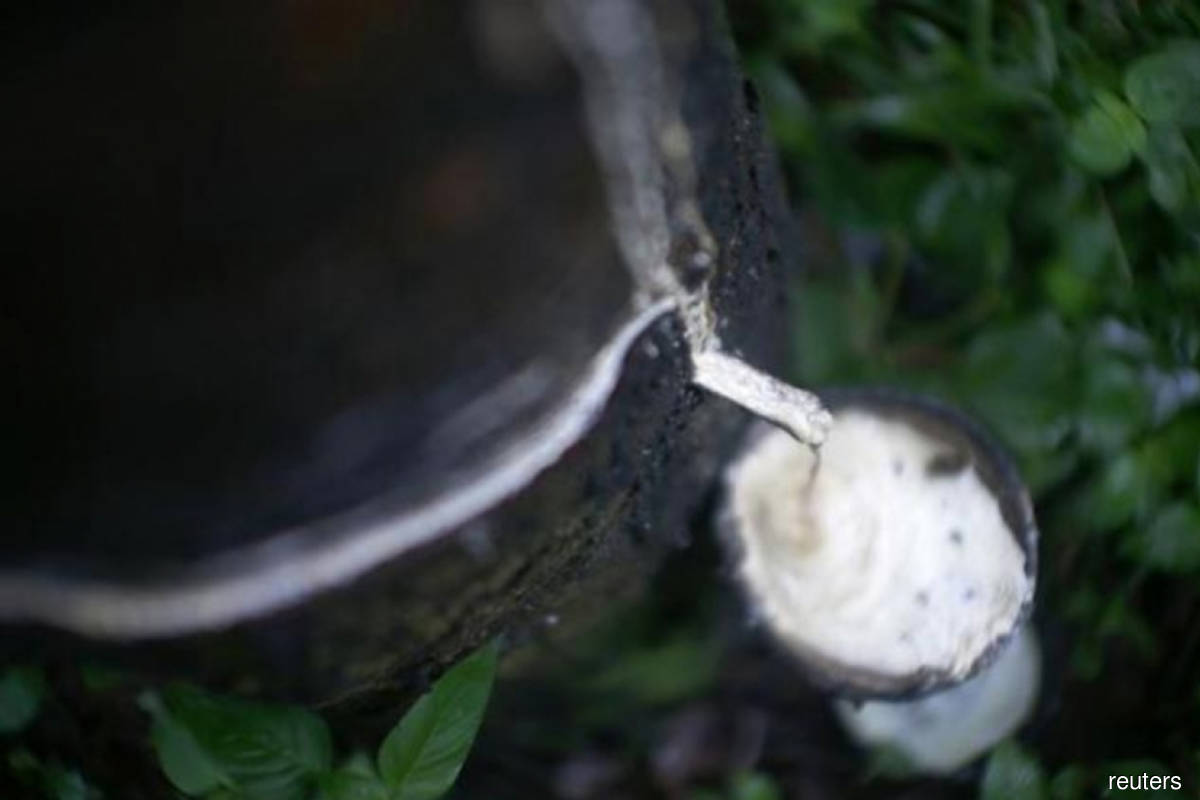 image-20220822114459-1